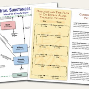 Zang Fu pattern identification study guide | Patterns chart